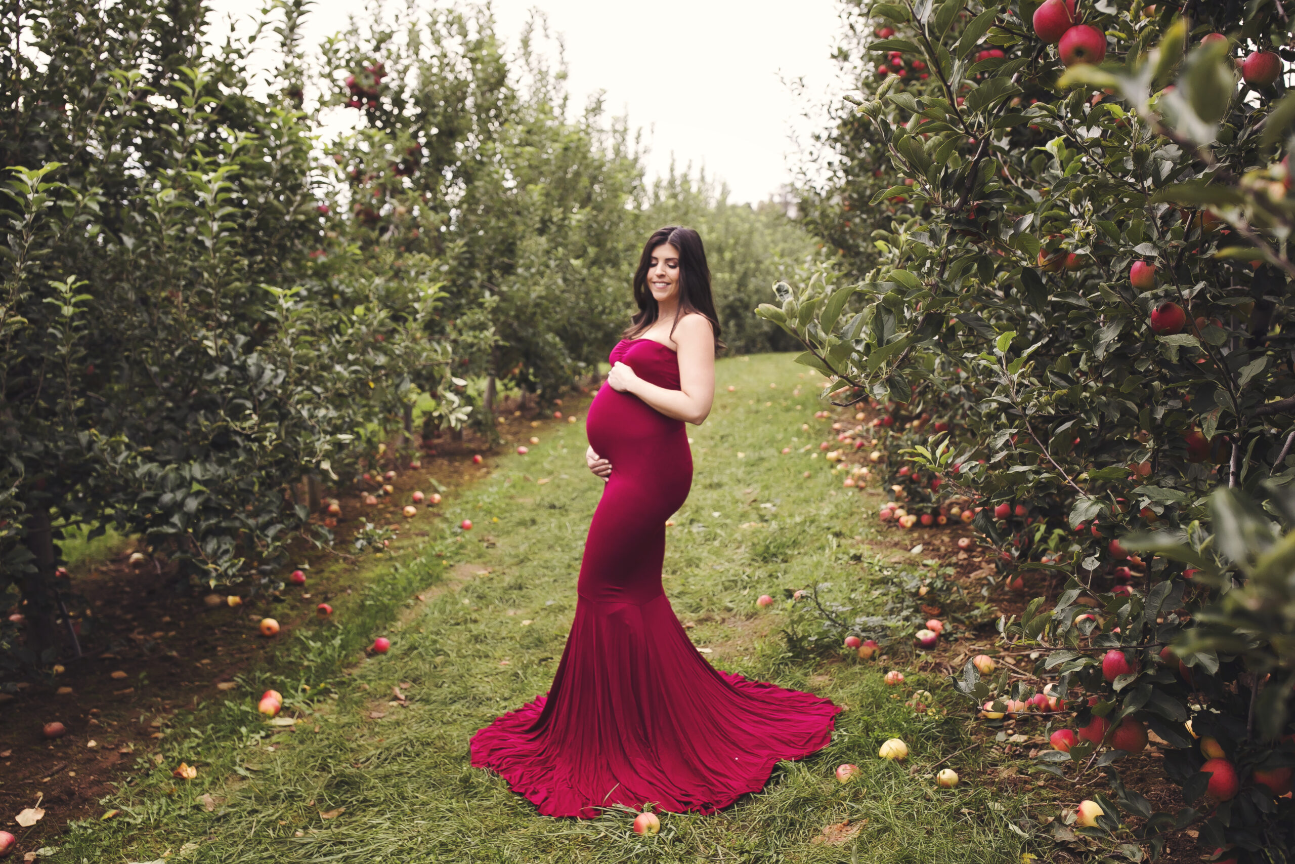 Apple Orchard maternity photos