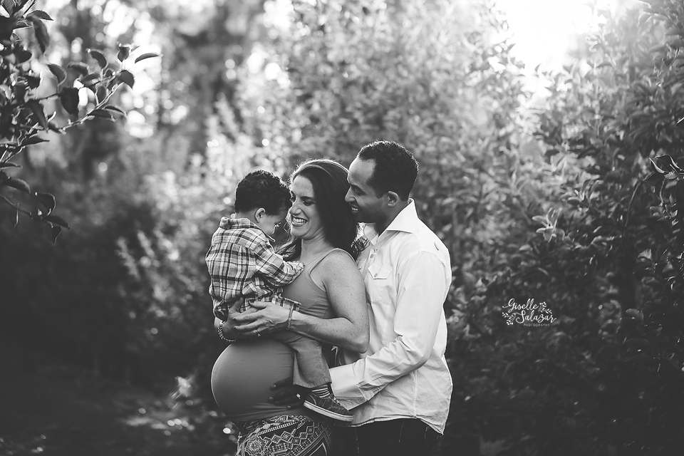 Alstedes farms Chester NJ maternity session